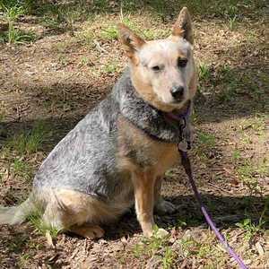 Fundraising Page: Michelle & Mark Wachtel